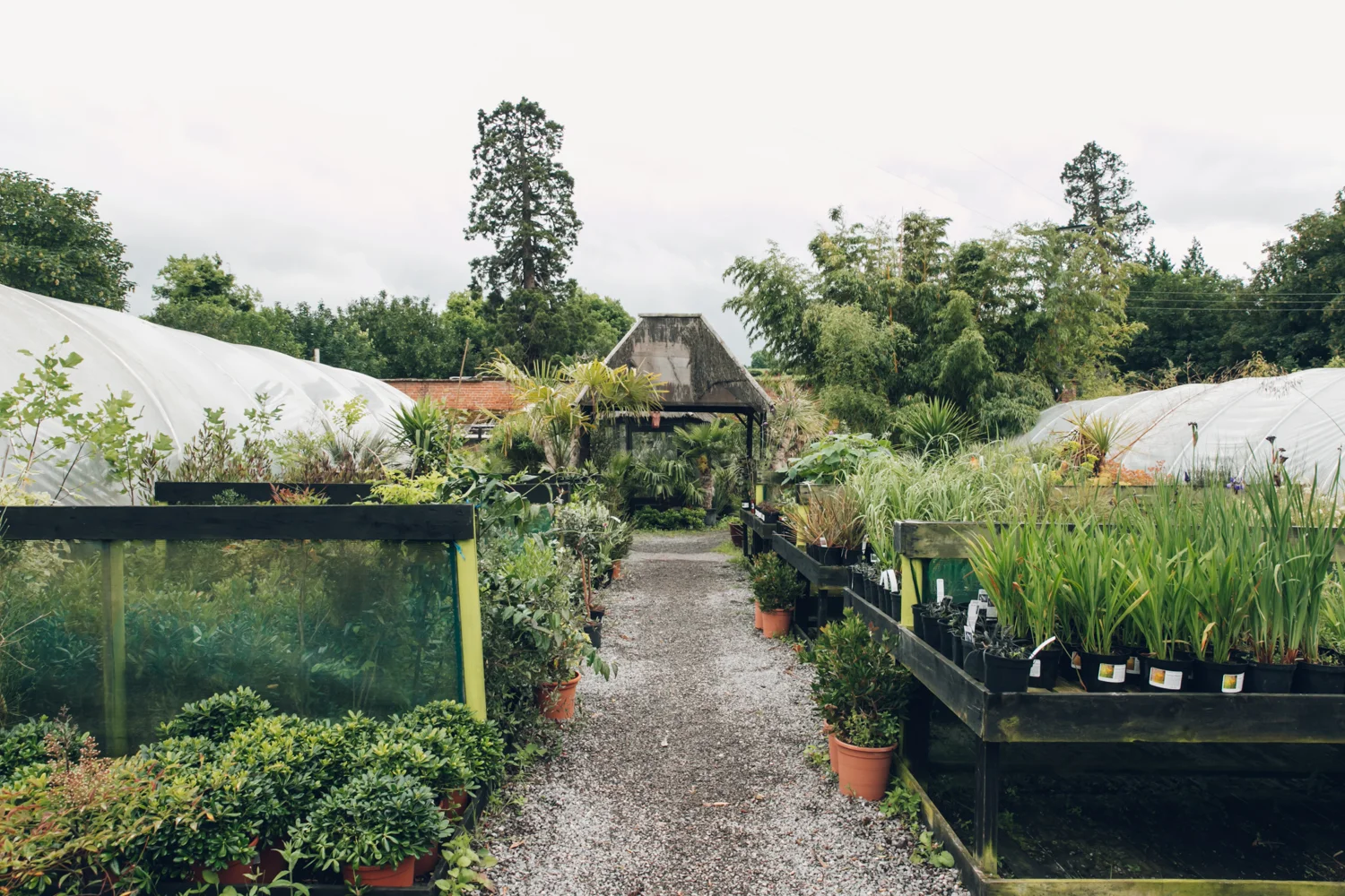 Garden Centres Taunton Somerset | Fasci Garden