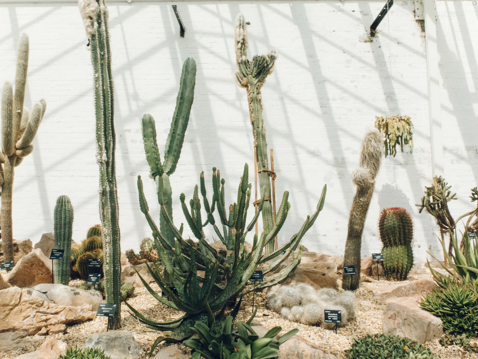 Dyffryn Gardens — Greenhouses — Cardiff, South Wales — Haarkon