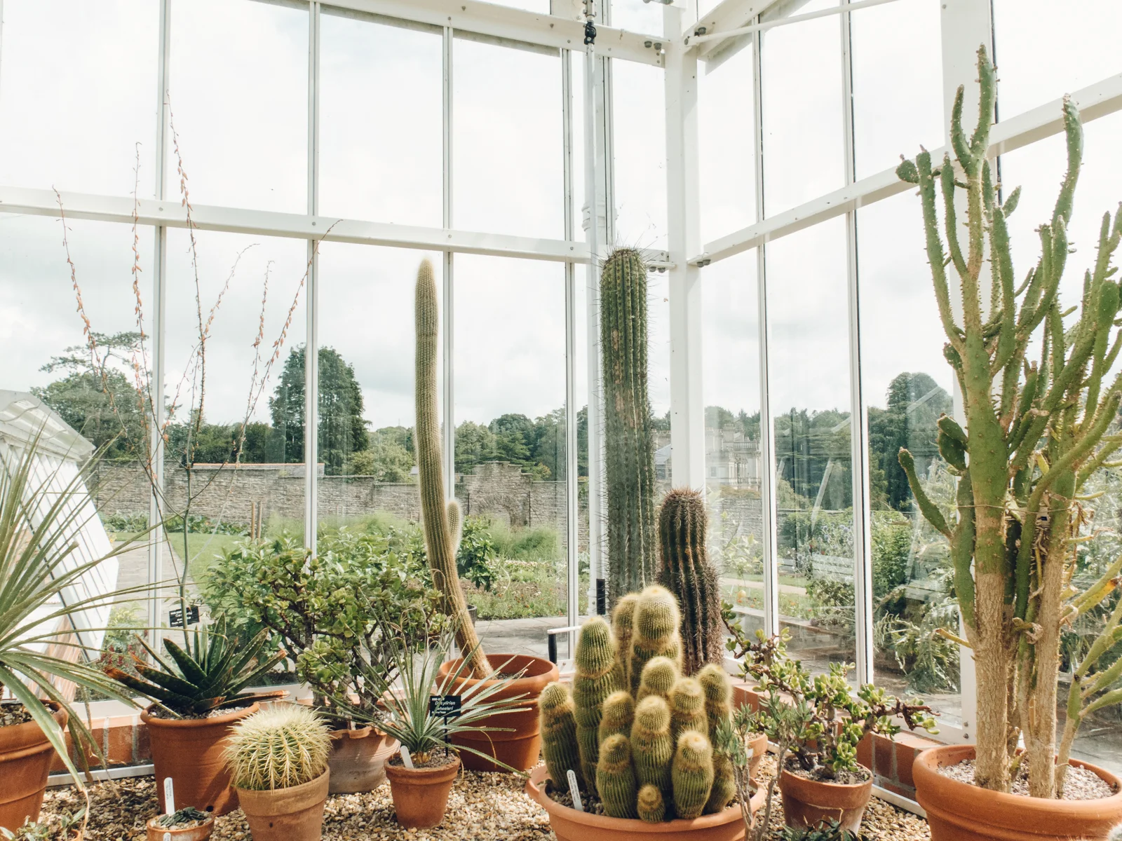 Dyffryn Gardens — Greenhouses — Cardiff, South Wales — Haarkon
