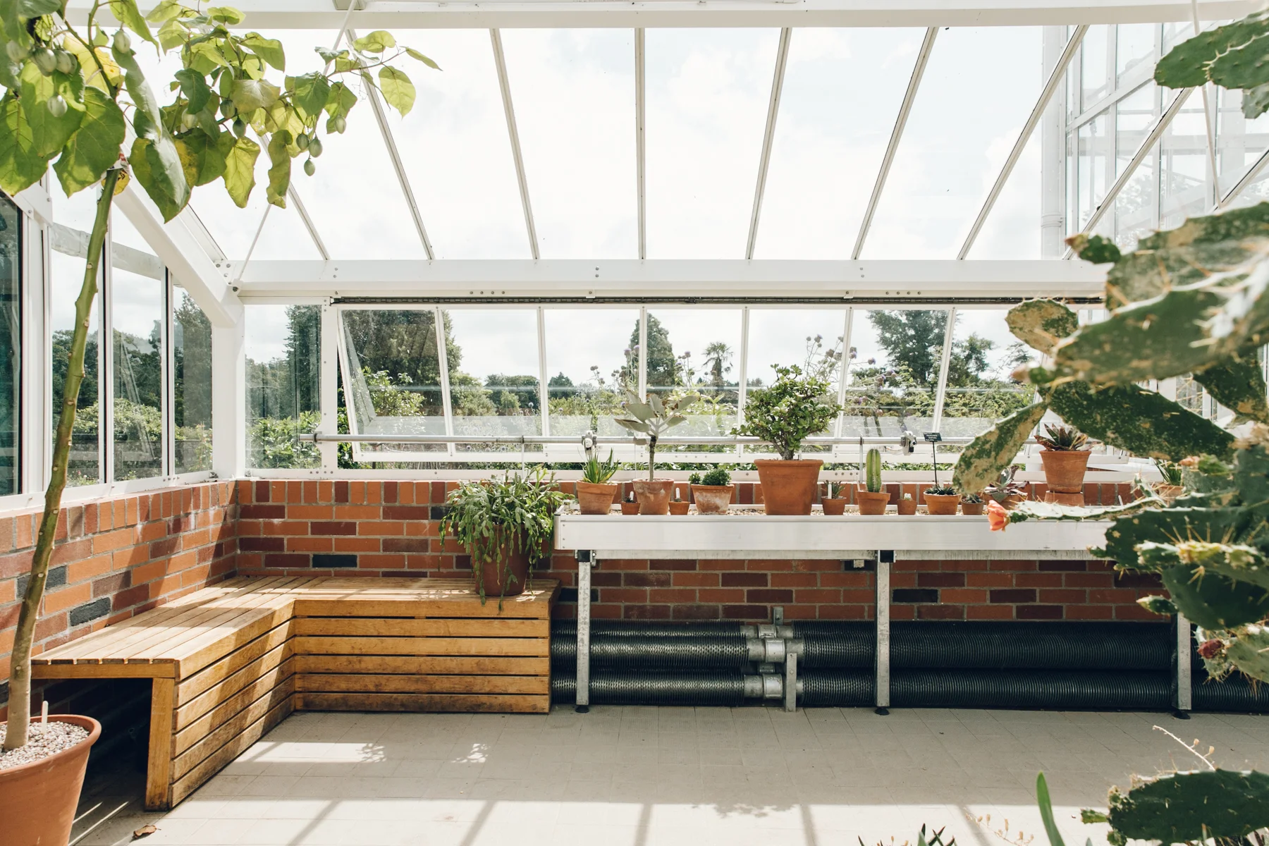 Dyffryn Gardens — Greenhouses — Cardiff, South Wales — Haarkon