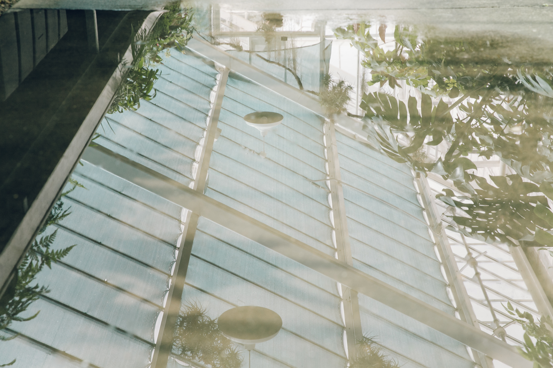 Dyffryn Gardens — Greenhouses — Cardiff, South Wales — Haarkon