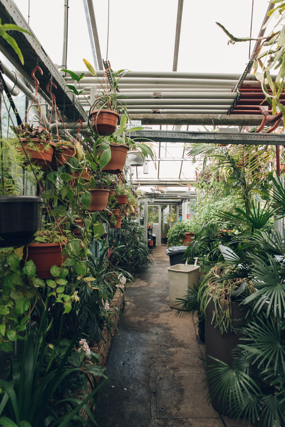 Afhaalmaaltijd Uitrusting doos Botanische Tuin Zuidas — Amsterdam — Haarkon