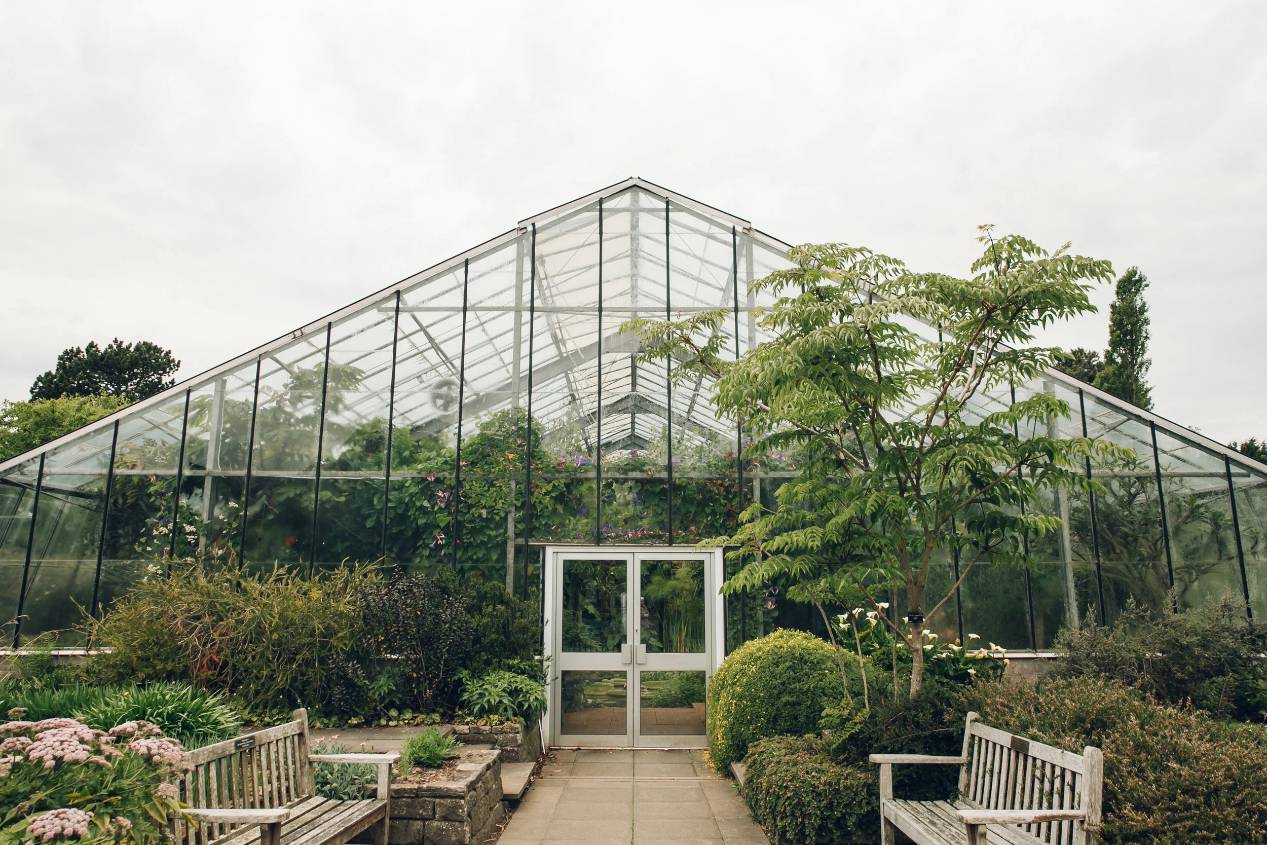 The University of Dundee Botanic Garden — Haarkon