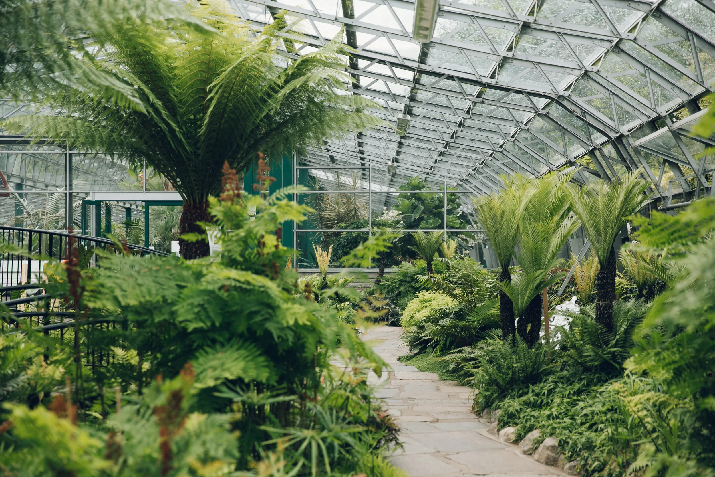 Get Wallpaper The David Welch Winter Garden Duthie Park In Aberdeen Scotland HD