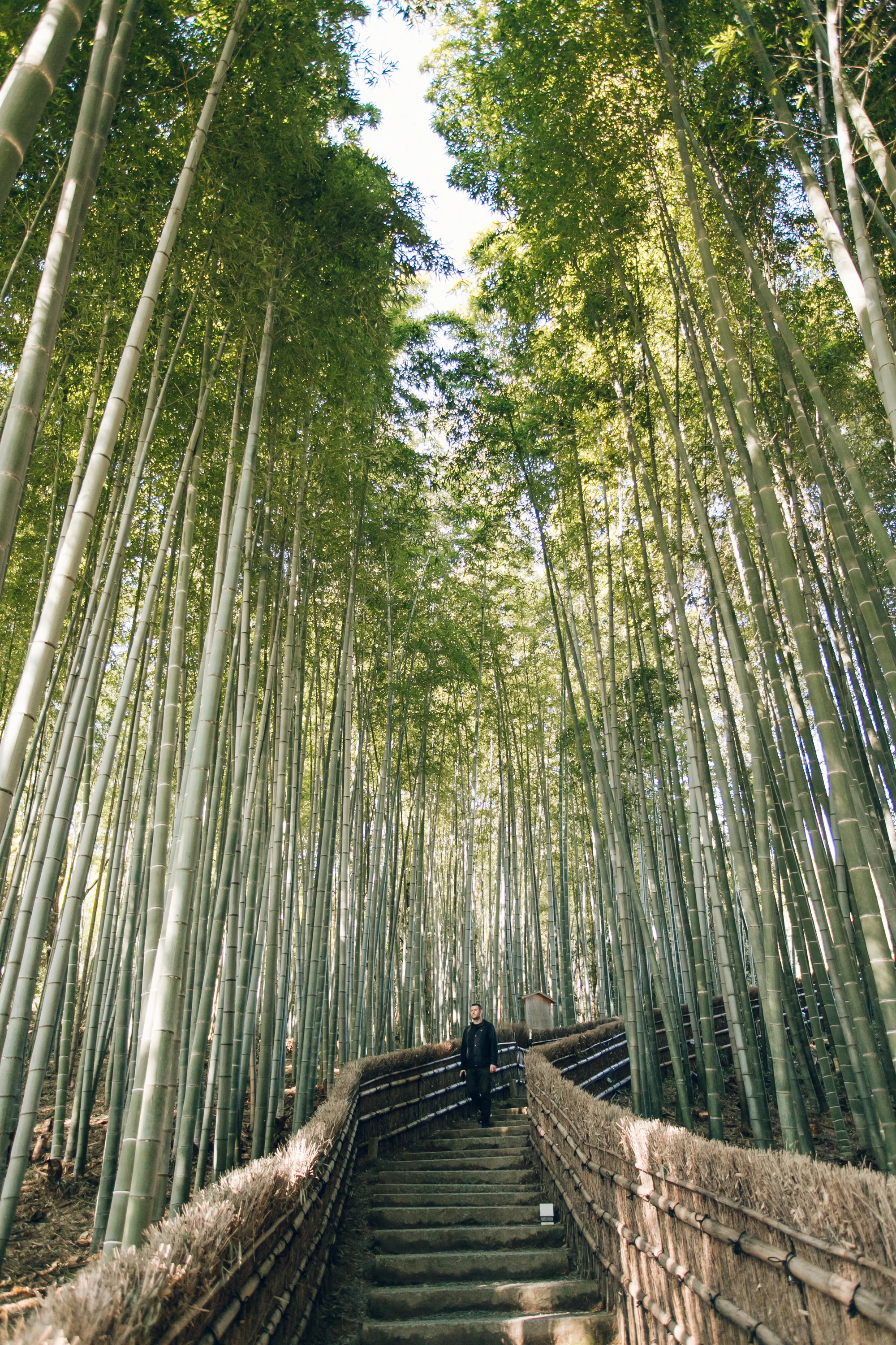 The Arashiyama Bamboo Forest In Kyoto Japan Haarkon