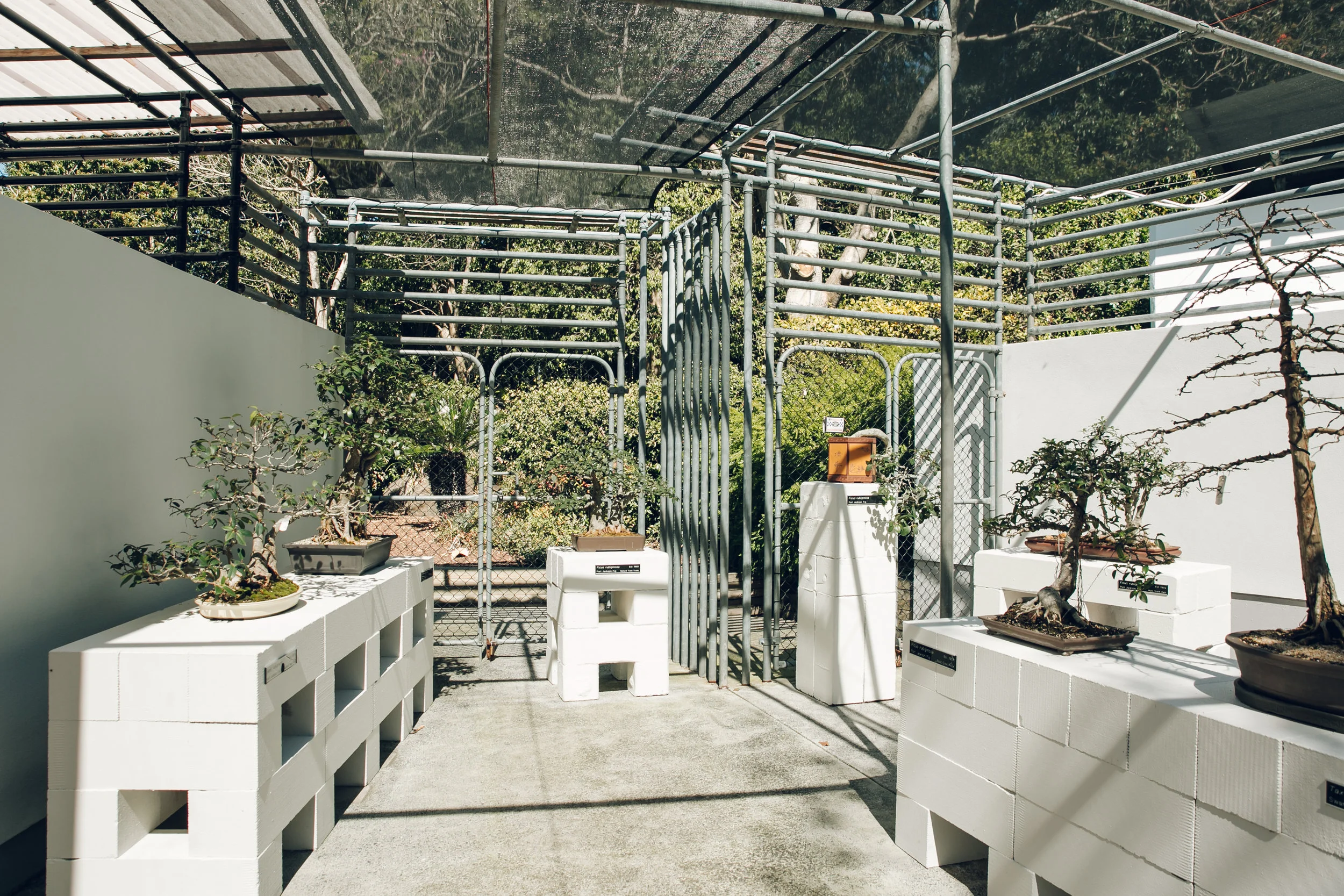 Bonsai House, Brisbane Botanic Gardens Mt Coottha — Australia — Haarkon