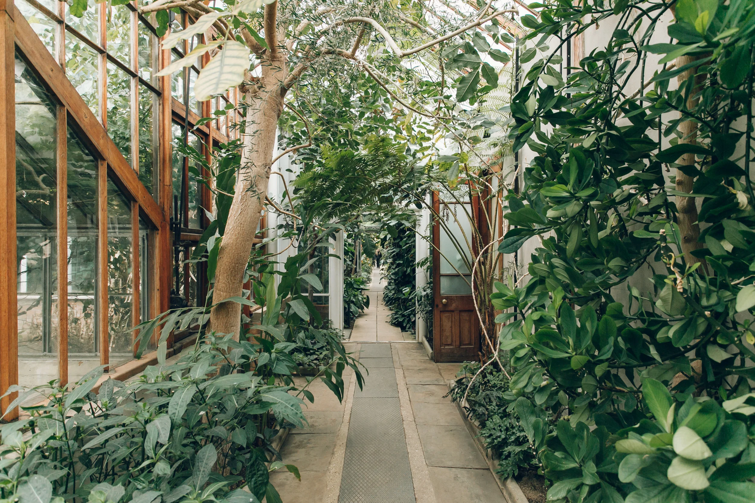 Cambridge University Botanic Garden — UK — Haarkon