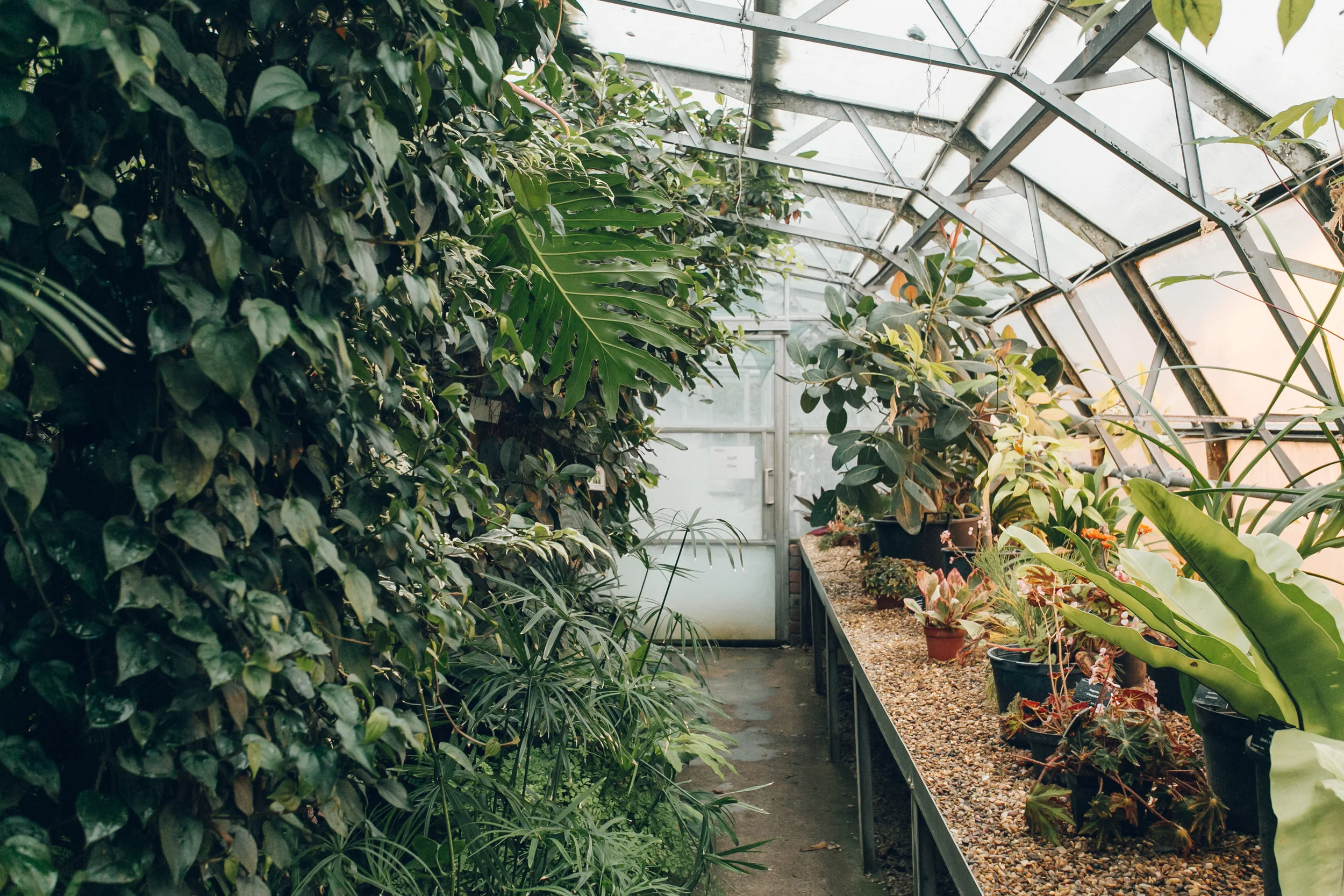 University of Leicester Botanic Garden — Haarkon