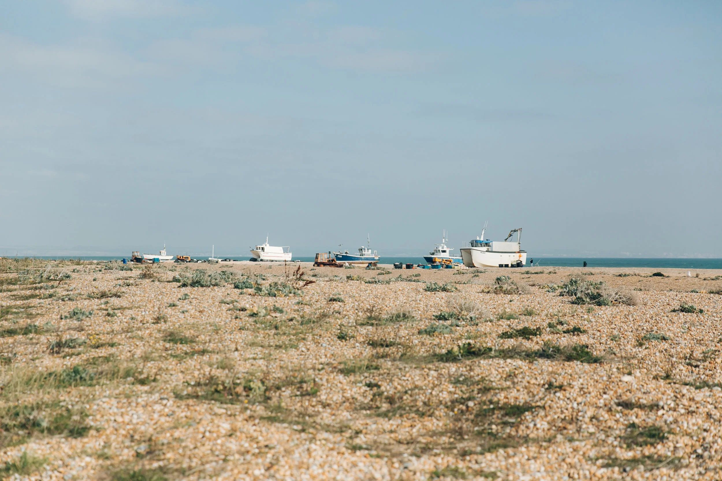 Dungeness LR-41.jpg
