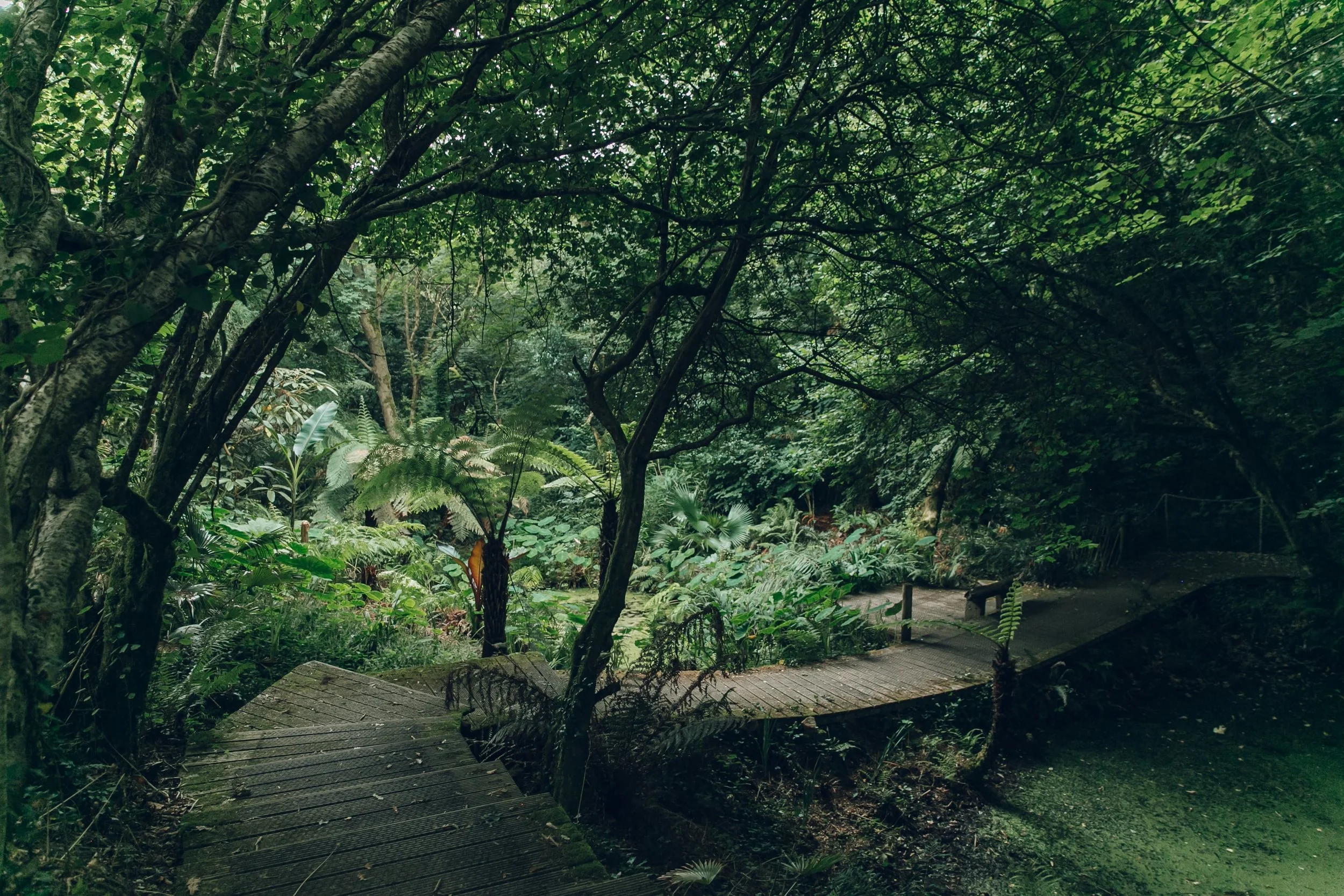 Tremenheere Sculpture Gardens — Cornwall — Haarkon