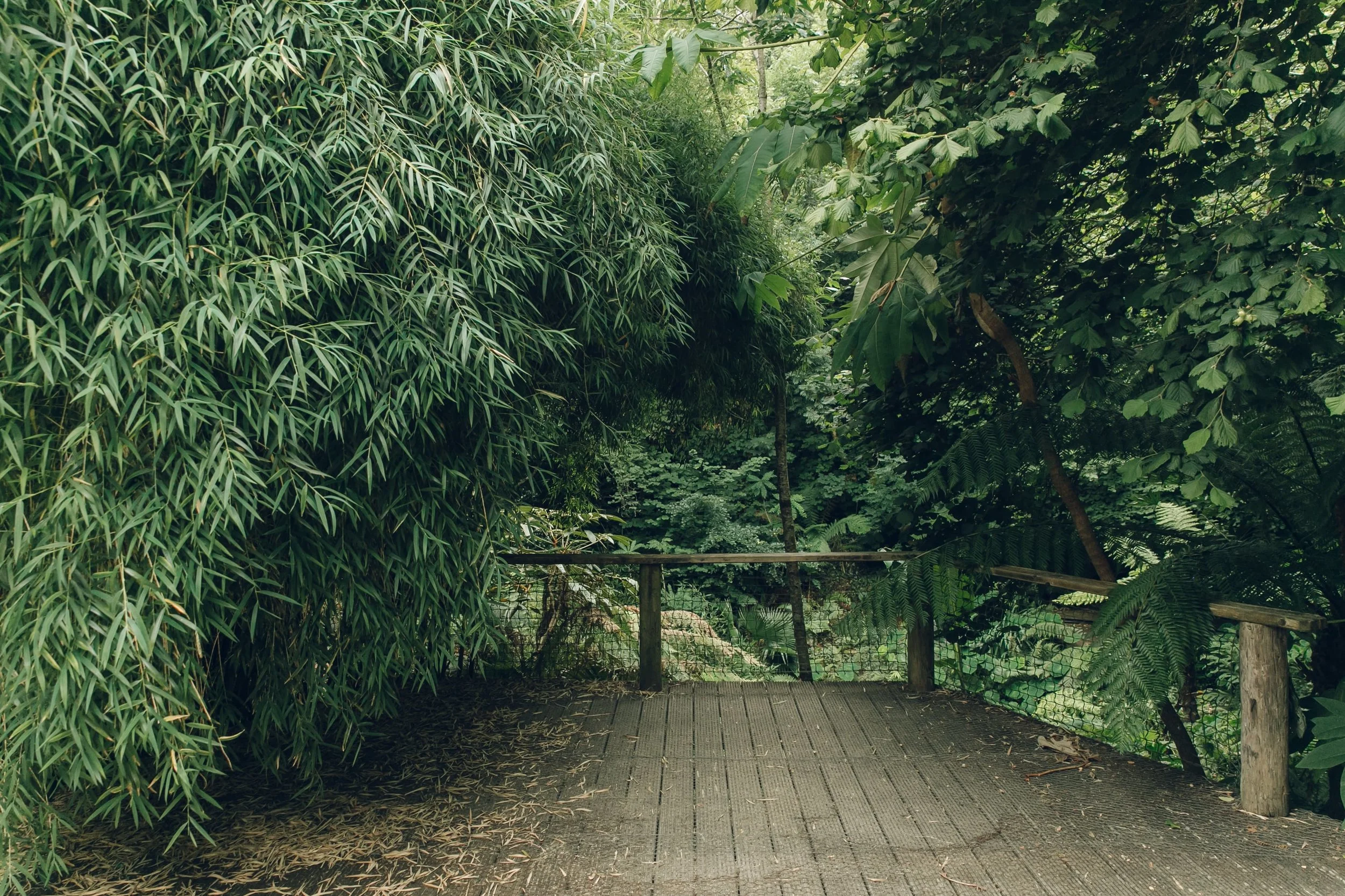 Tremenheere Sculpture Gardens — Cornwall — Haarkon