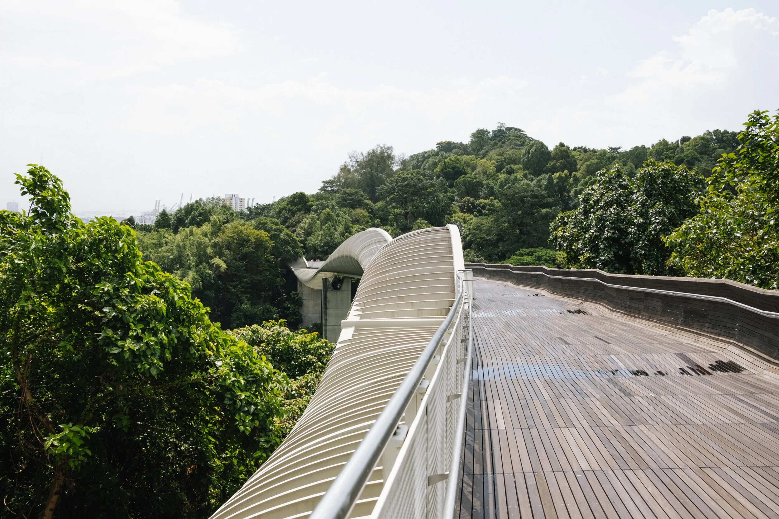 Southern Ridges: Walk The Hills Of Singapore – TRYSEK