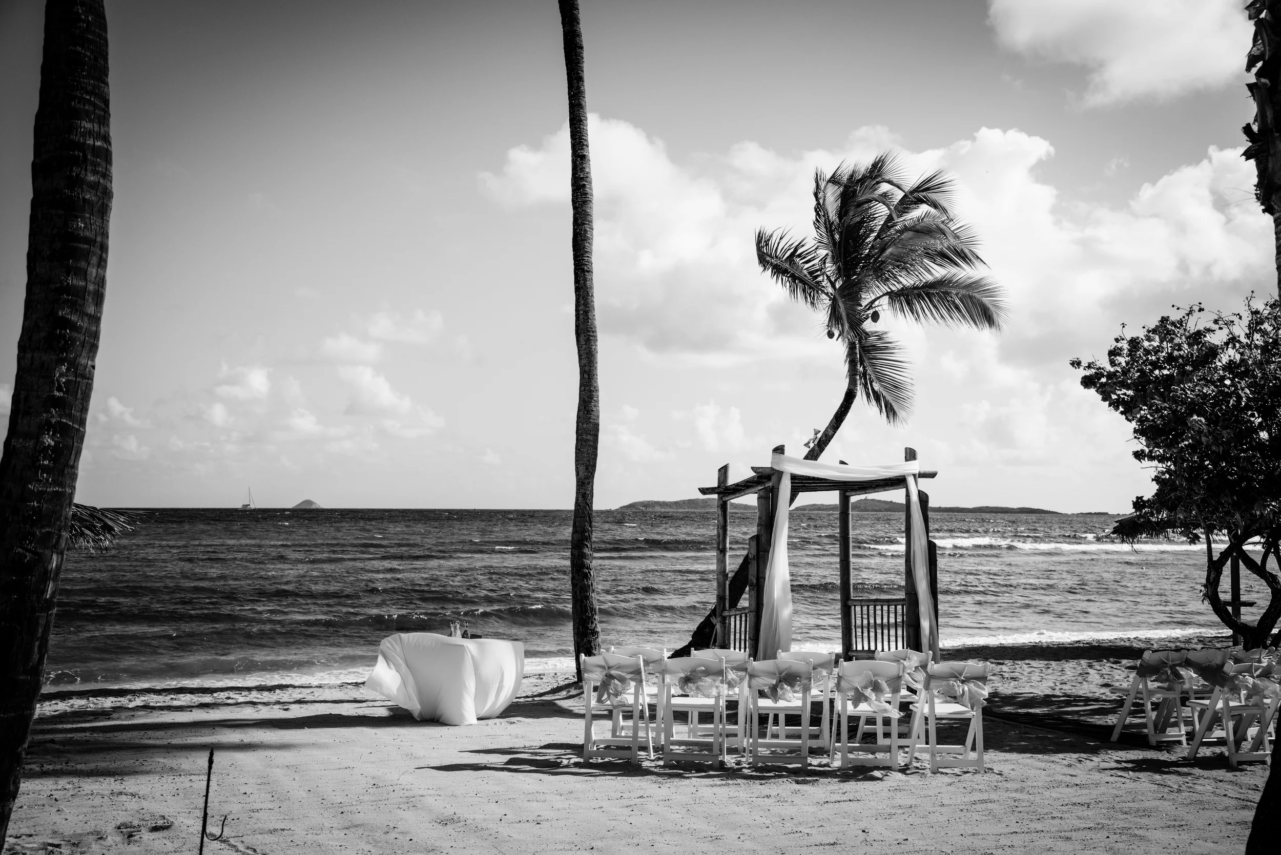 _DUG3237_ copy_bw.jpg