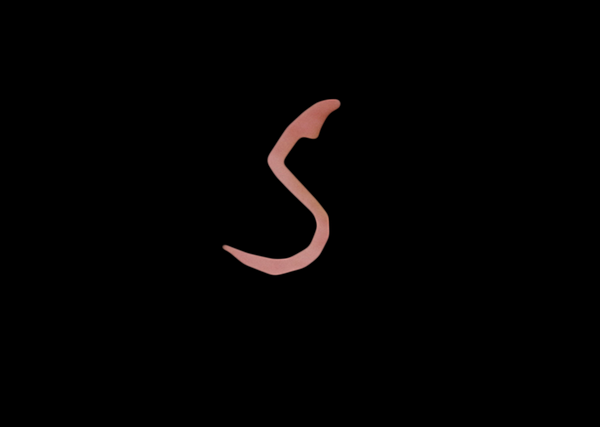 ALPHABET+7.png