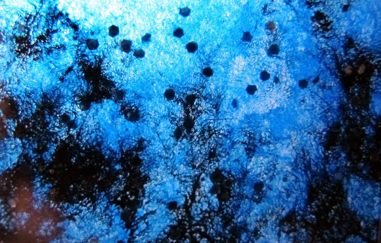 TEXTURE+6.jpg