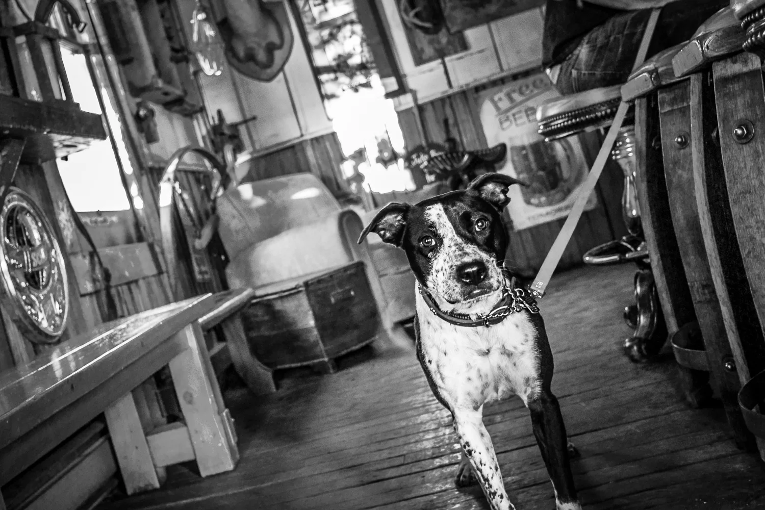 KimCarrollPhotography.com (BlackWhite)6.jpg