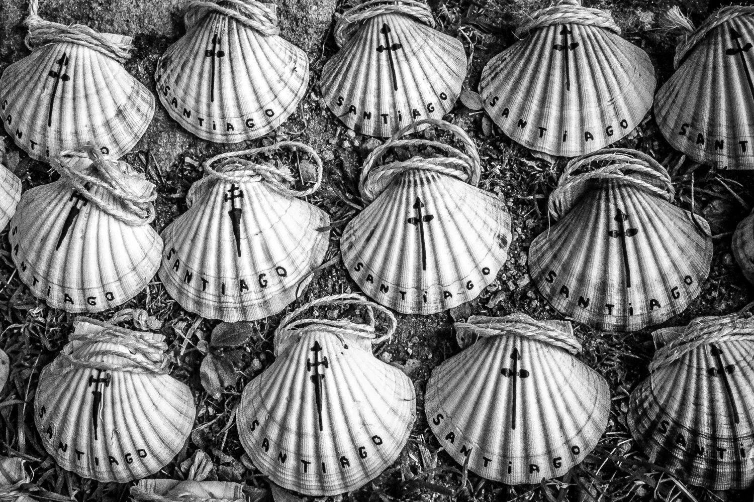 KimCarrollPhotography.com (BlackWhite)9.jpg