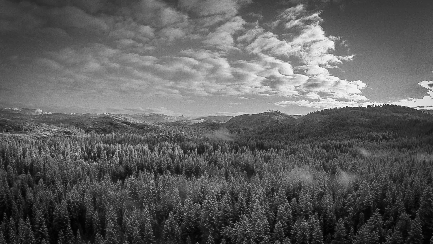 KimCarrollPhotography.com (BlackWhite)11.jpeg