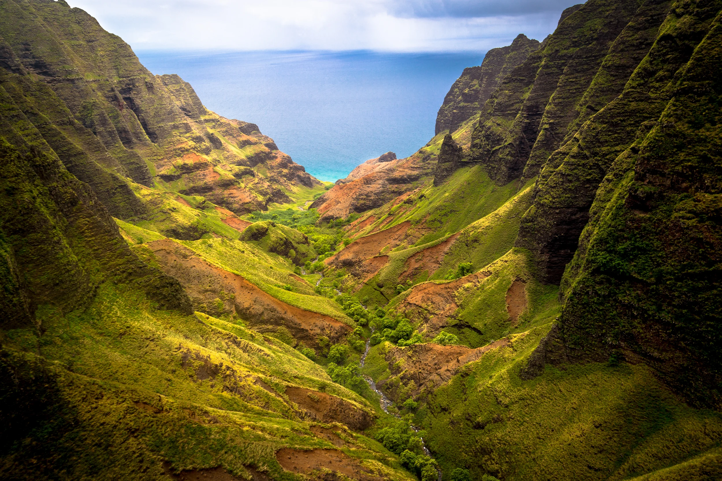KimCarroll.com- Kauaii-4.jpg