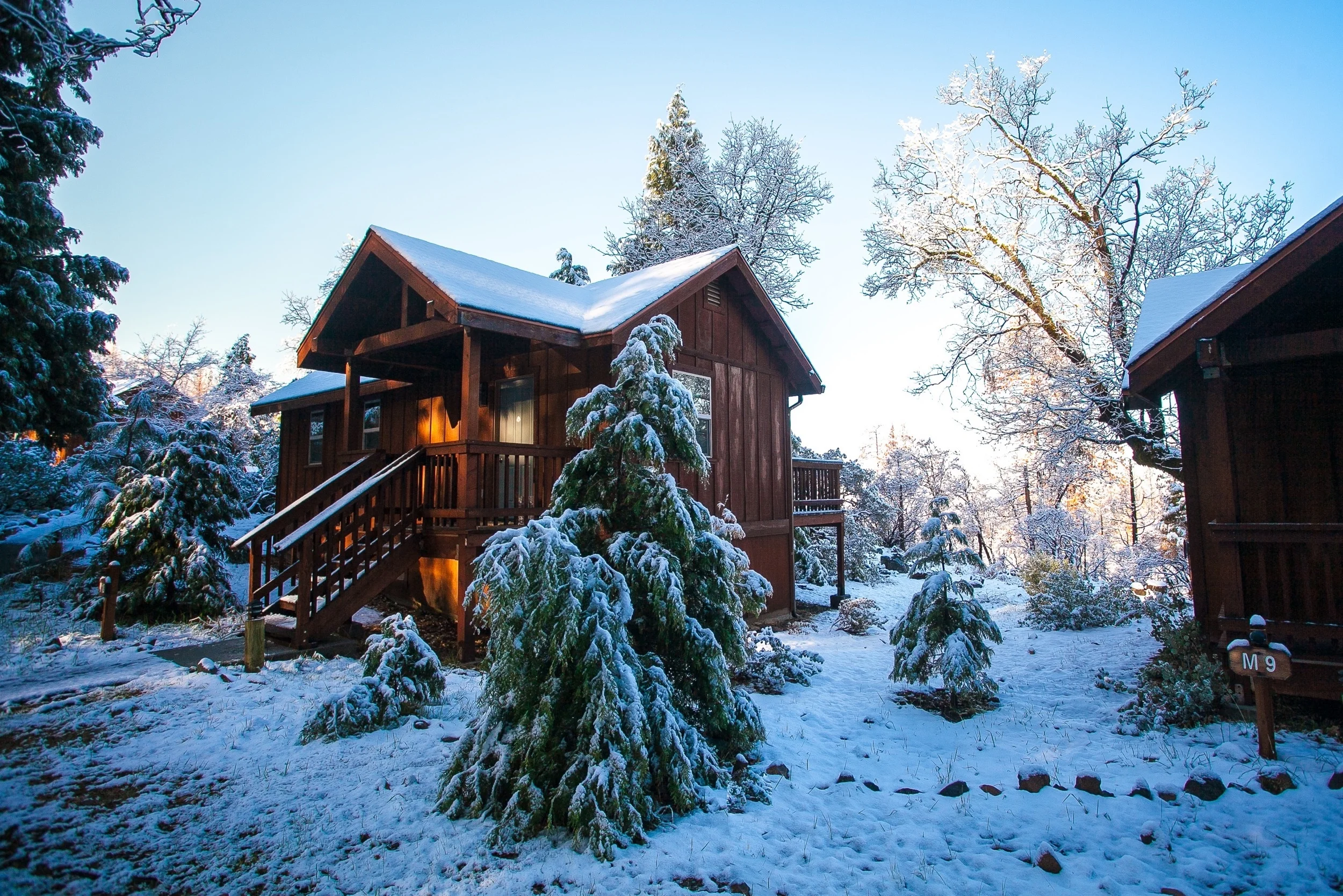 KC- Evergreen-7.jpg