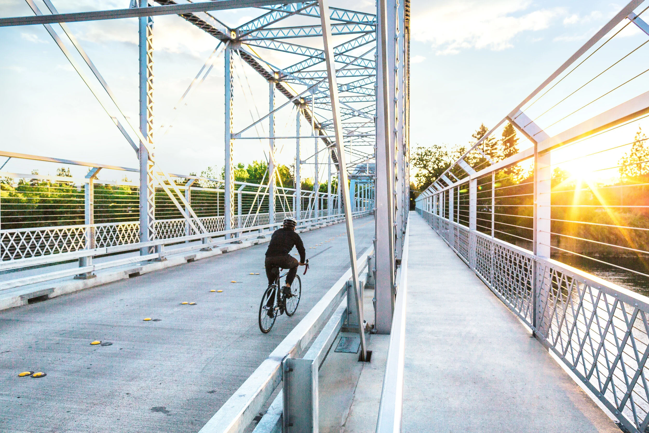 kimcarroll.com - NuForest-8.jpeg