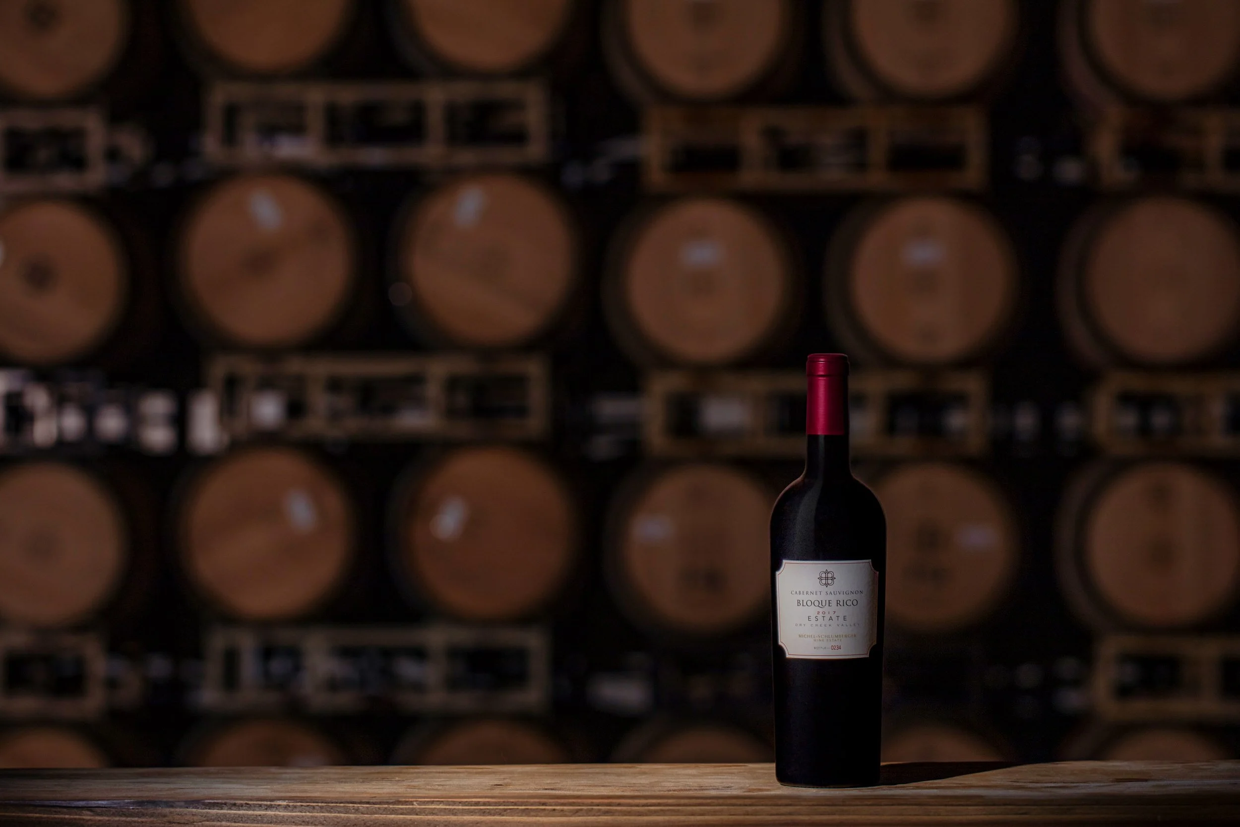 KimCarroll.com_HI_RESMICHEL SCHLUMBERGER4857.jpeg