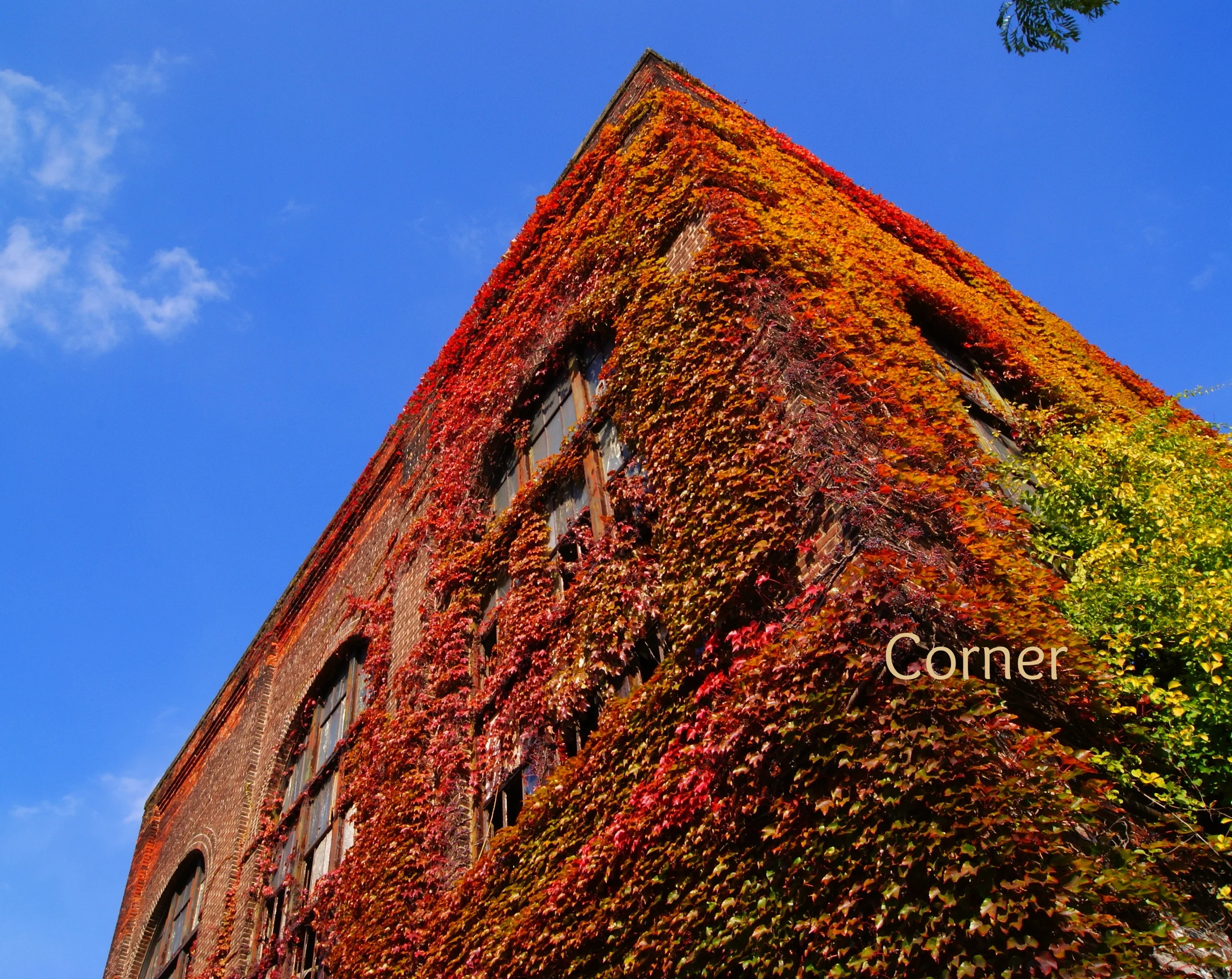 Corner.jpg