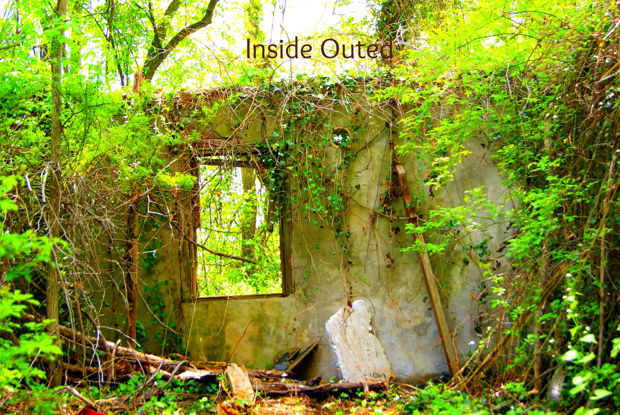 Inside Outed.jpg