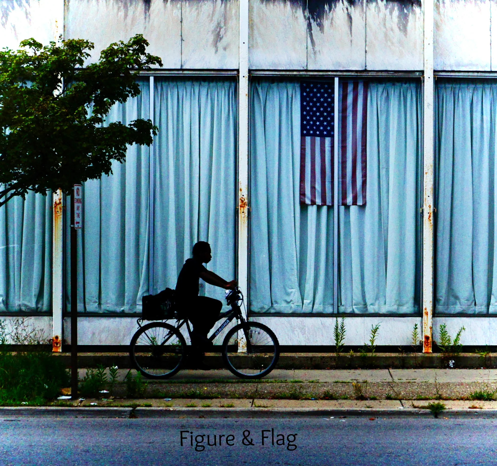 Figure & Flag.jpg