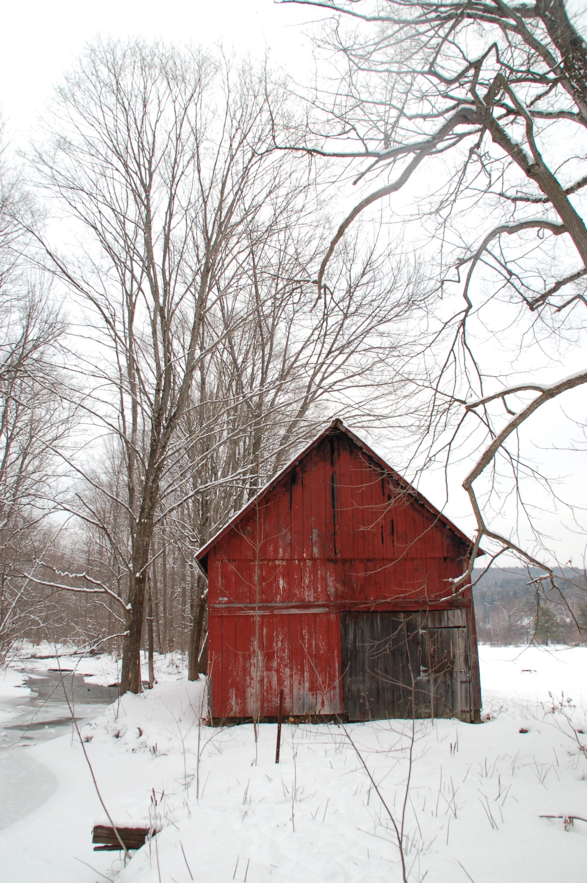 Back Barn