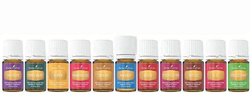 A variety - 11 amazing oils to get you started: Purification, Thieves, DiGize, Frankincense, R.C., Copaiba, Lemon, Stress Away, Peppermint, PanAway, and Lavender. Click here to learn more about all 11 oils .