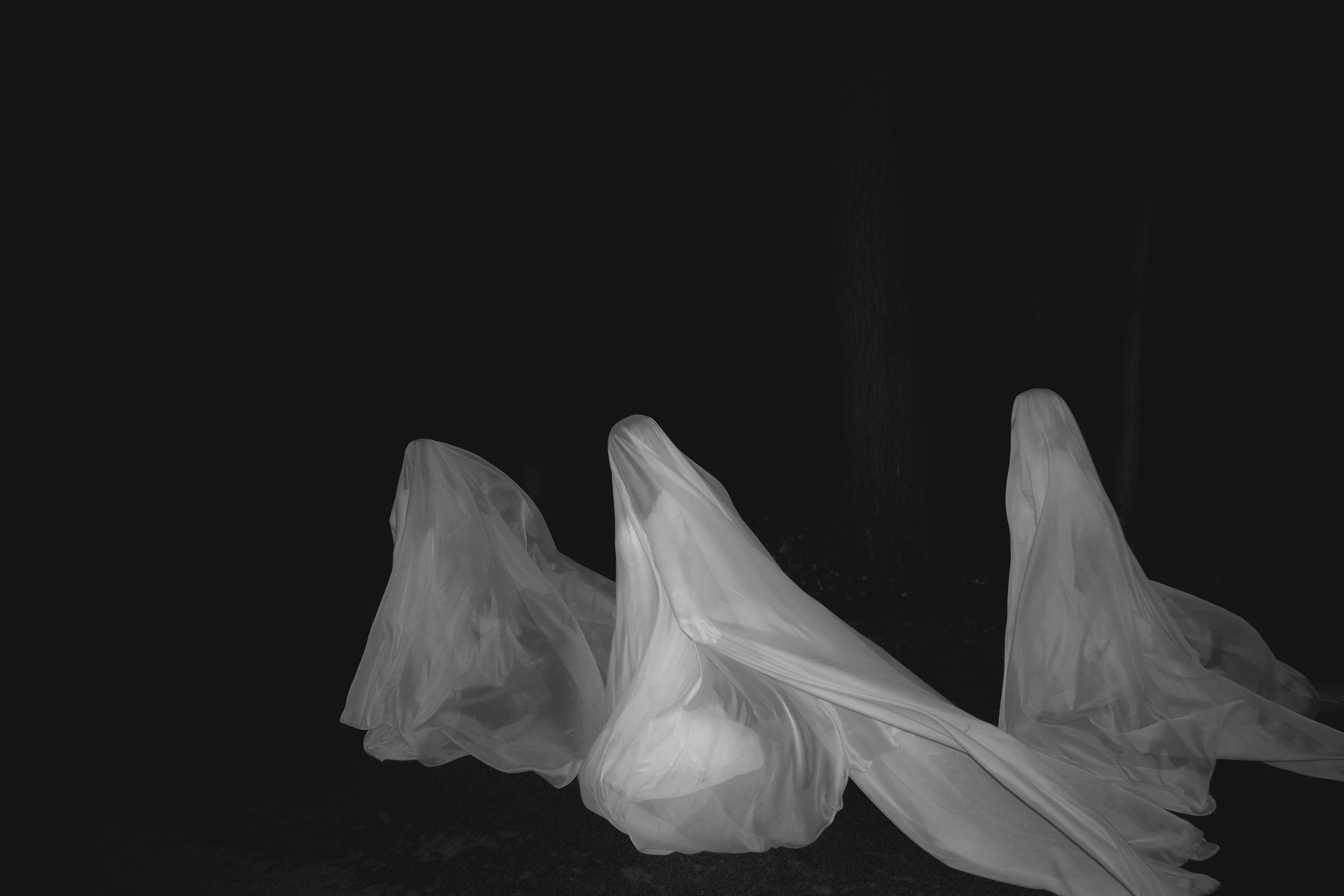 DSCF7487_1.jpg