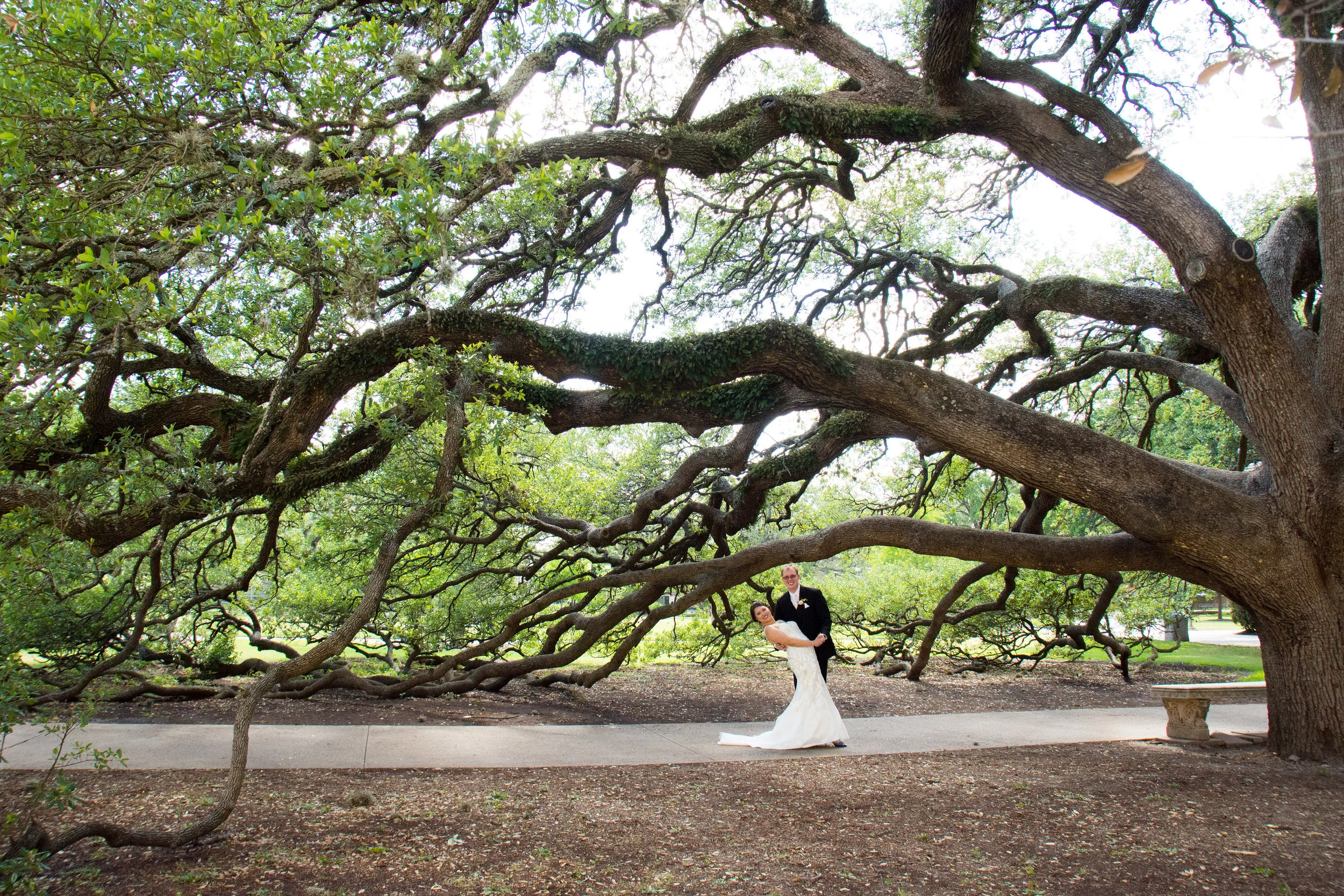 The Century Tree on Texas A&M University's campus is very special to the students and alumni. Tradition says that if a couple walks under the special tree, their love will last a lifetime. We have no doubts about the Hicks.