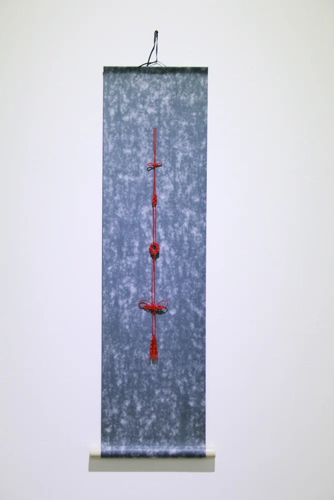 Experience, Calligraphy scroll and Silk Thread, 20 x 8 inches, 2013