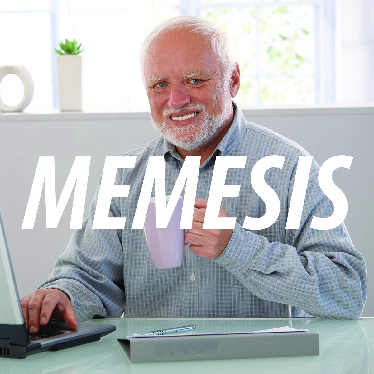 Memesis : Community and self-definition in the age of memes