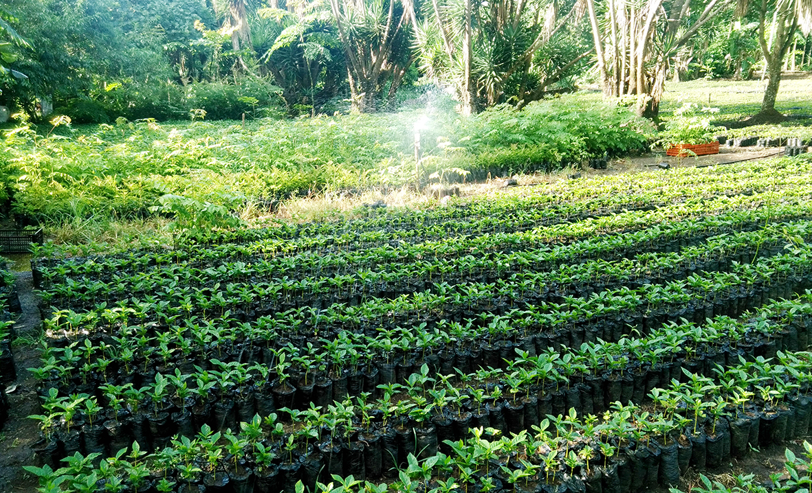 Photo: Adolfo Córdoba