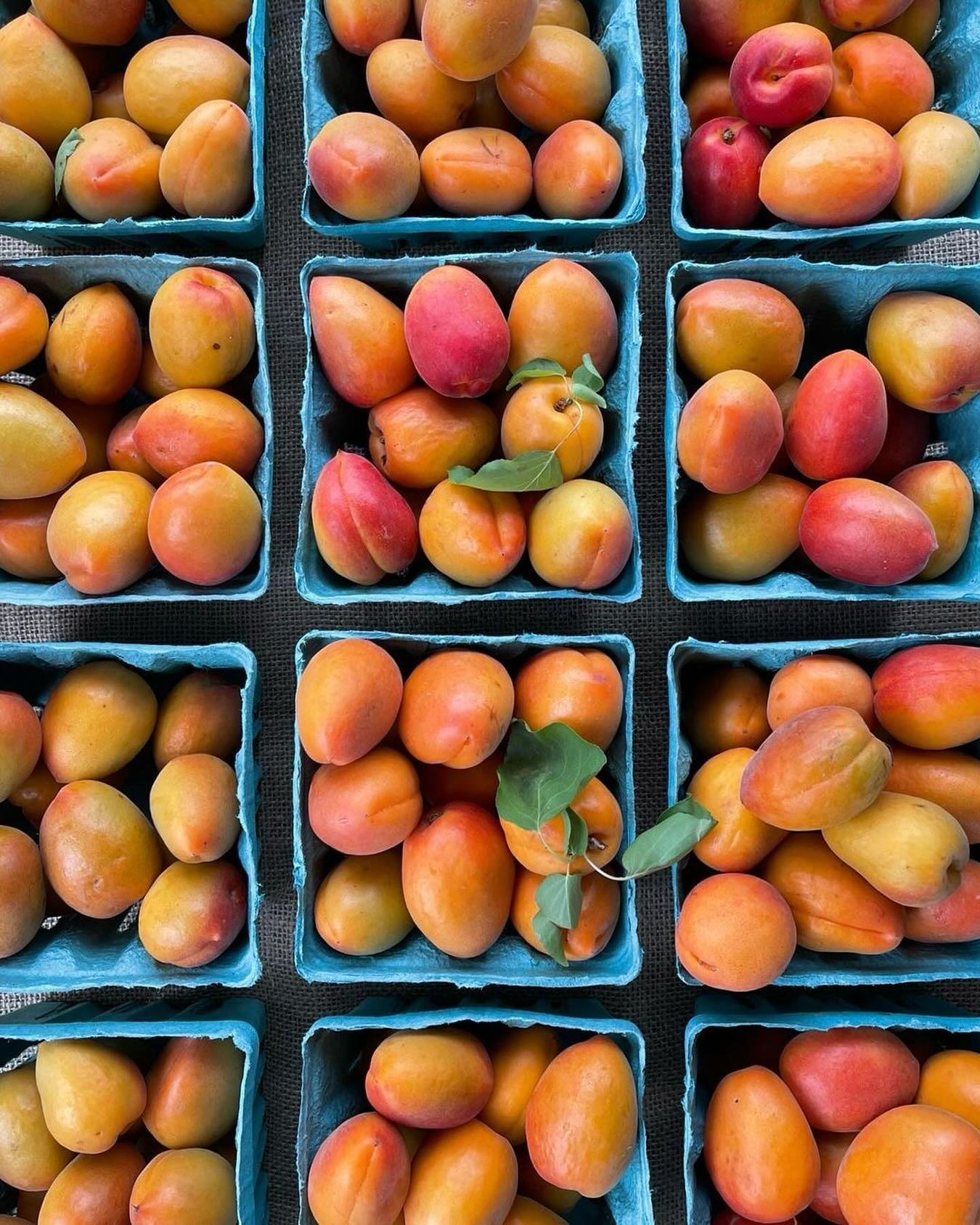 💪🌞 THE MOMENT YOU&rsquo;VE BEEN WAITING FOR IS HERE&mdash;late spring / early summer fruit is coming in from @SunnyCalFarms!

🍑 STARTING TOMORROW 
White Peaches 
Apricots (Dreamcots)
&amp; Yellow Peaches 

🫐 STARTING NEXT THURSDAY
Blueberries

FA