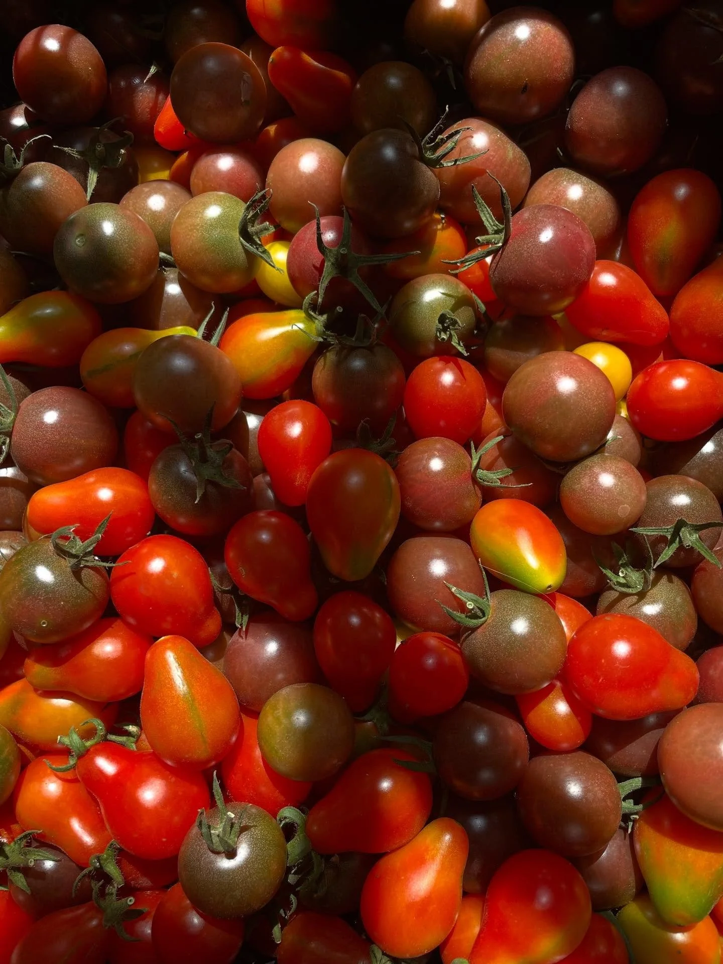 Late summer abundance on Ferm Farm Acres🌞

We have cherry tomatoes galore, bunching onions, jalape&ntilde;os, cascabella peppers, the list goes on! 🍅🧅🌶️

As well as some blooming flowers for the pollinators and a passionfruit vine that is startin