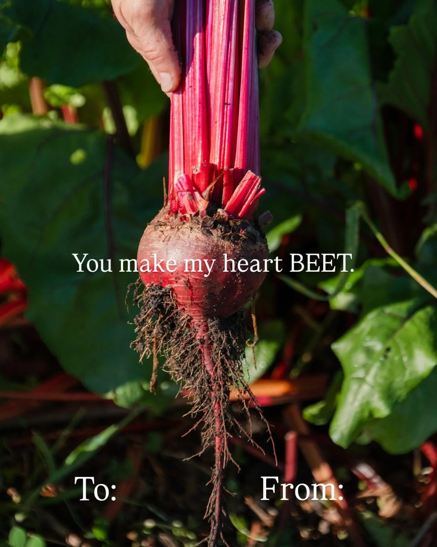 Send this to your Valentine ❤️ 
From our field to your feed &mdash; a little farm-grown love note.