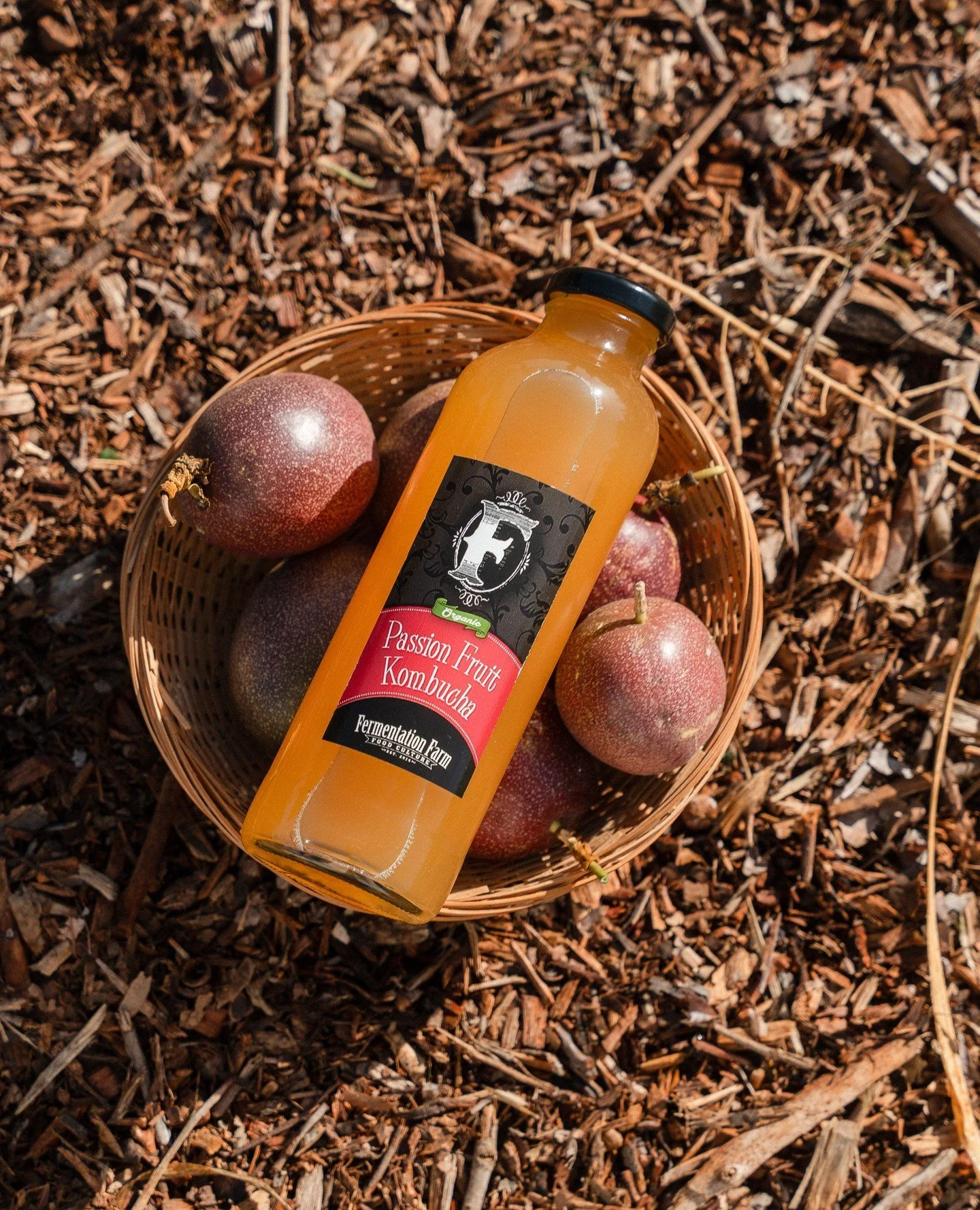 A longtime favorite, and for good reason. Our Passionfruit Kombucha is bright and tart, and brewed the the traditional way: organic, raw, and alive.⁠
⁠
Grab a bottle from our fridge to have on hand when you need a little pick-me-up.