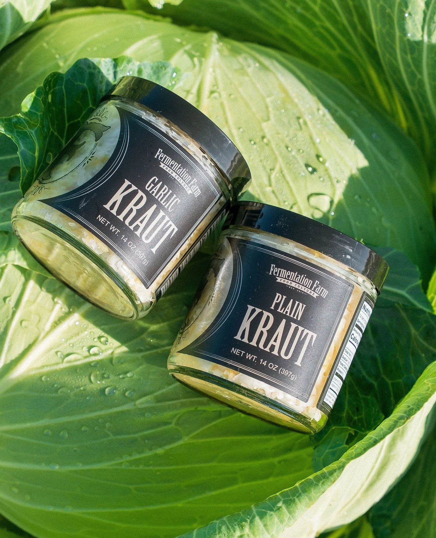 Okay, we need to know...both are made in-house. both are fermented the traditional way. both have a very loyal following. But which one are you grabbing first? ⁠
PLAIN &mdash; clean and tangy. goes with everything.⁠
GARLIC &mdash; bold and memorable.