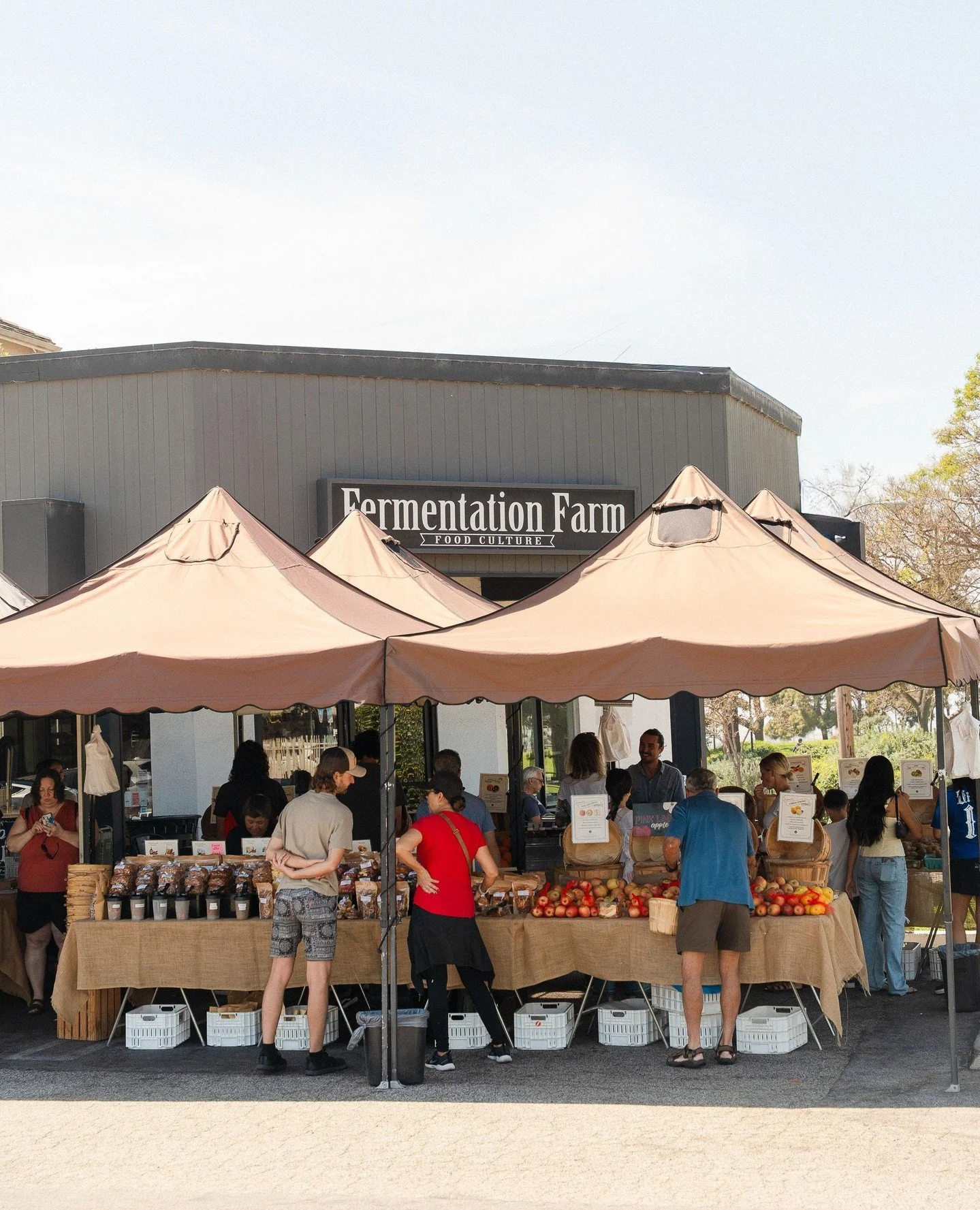 Come do your weekly shop with us every Thursday from 11 am&ndash;3 pm, right in our parking lot in Costa Mesa. ⁠
@rosewfarms brings the most beautiful organic berries.⁠
@sunnycalfarms brings some of the best citrus and nuts you&rsquo;ll ever taste.⁠
