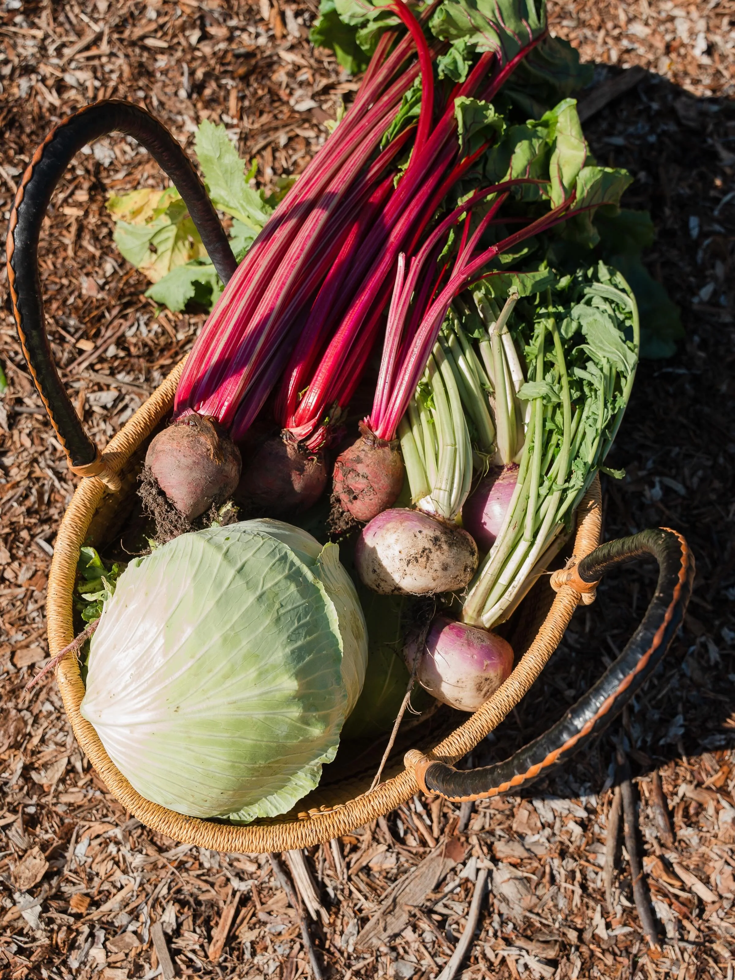 Moments from Ferm Farm Acres.  Our volunteers are the heartbeat of the farm. We&rsquo;re always looking for volunteers to join us in the field. Whether you&rsquo;re planting seeds, pulling weeds, or just eager to learn, we would love to have you at F