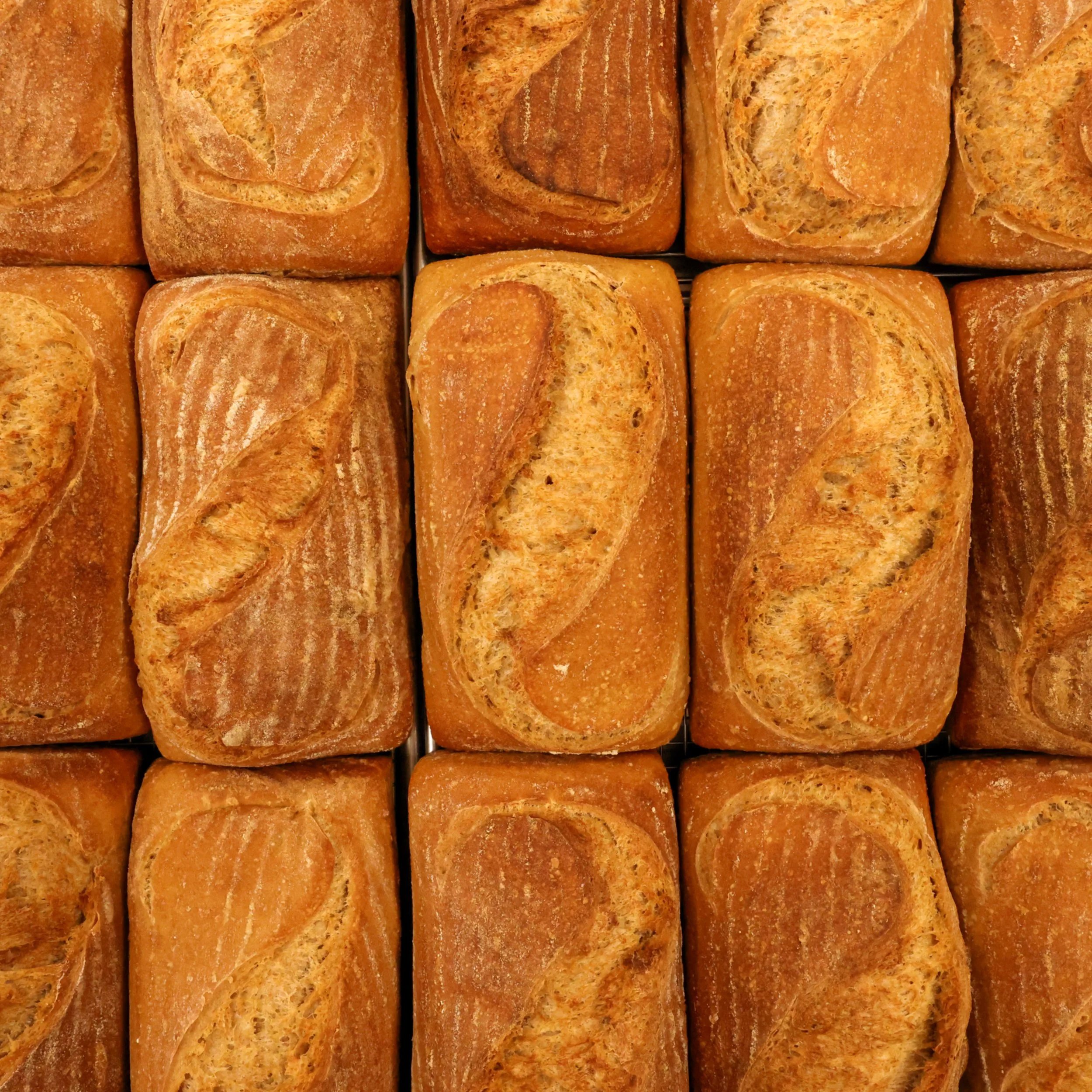 Sourdough Bread 4.jpg