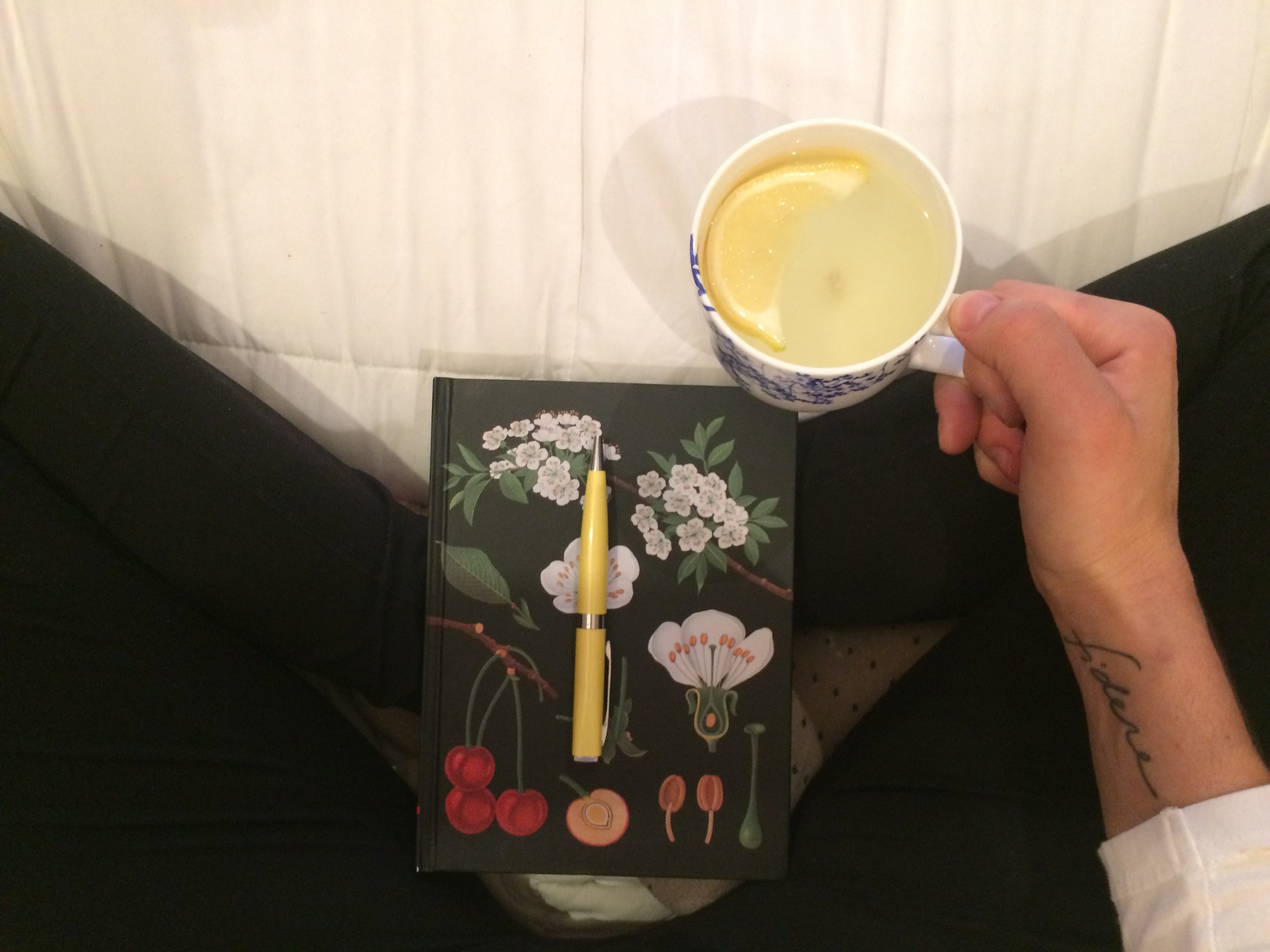 Bright Shiny Morning