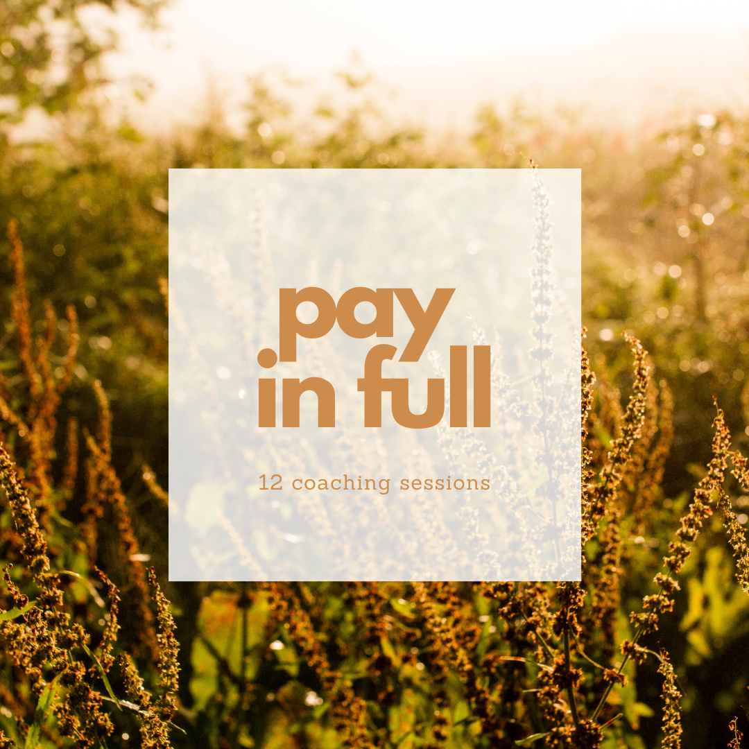 pay in full.png