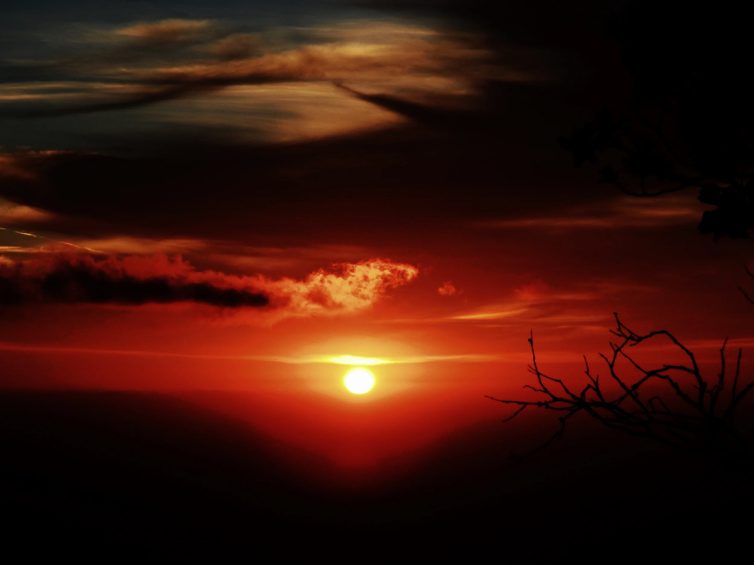 DSCN0265.JPG