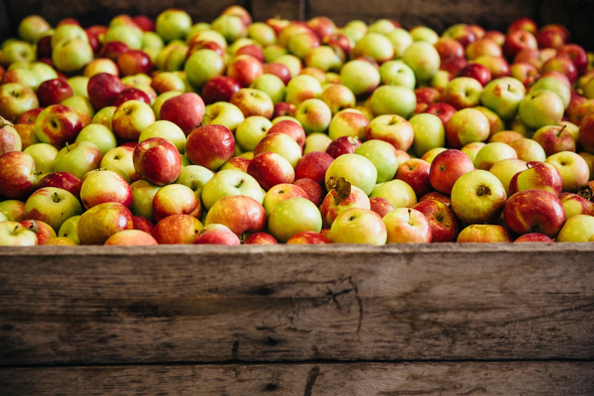 VanderMill_Cider-0779.jpg