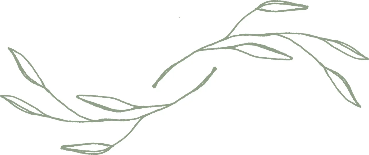 branches.jpg