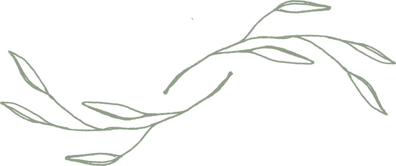 branches.png